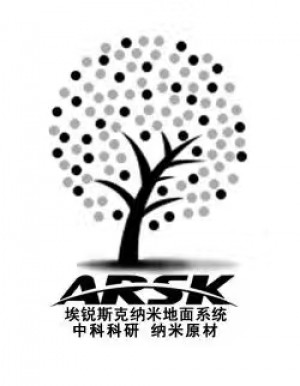 埃锐斯克纳米品牌标识升级