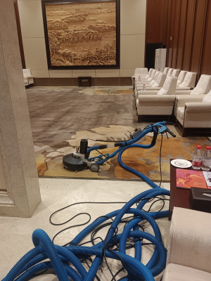 南京伊洁特斯公司完成江苏省厅接待室羊毛地毯清洗 无刷地毯清洗 沙发清洁项目