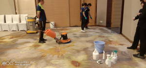 南京维也纳夫子庙酒店地毯清洁 无刷沙发清洁 大理石结晶 消杀灭虫服务由南京伊洁特斯公司完成