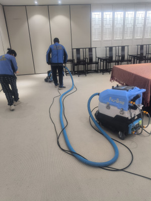 南京博物院地毯深层清洁沙发蒸汽清洗项目由南京伊洁特斯环境科技有限公司施工